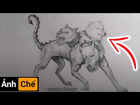 Video Chó Siba 3 Đầu | Những Hình Ảnh Hài Hước (P 156) - youtube