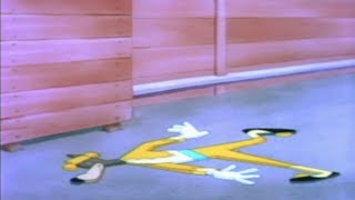 Tex Avery Funniest Moments #12