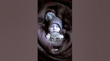 تلاوة تقشعر لها الأبدان للشيخ أحمد النفيس حالات واتس اب دينية قصيرة مؤثرة قرآن كريم تلاوة خاشعة