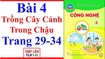 Công Nghệ Lớp 4 Bài 4 | Trồng Cây Cảnh Trong Chậu | Trang 29 – 34 | Chân Trời Sáng Tạo