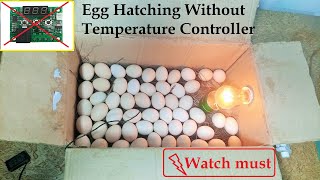 Super Easy Idea To Hatch Eggs At Home | World's easy Egg Incubator | Cardboard box Egg incubator