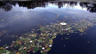 ЭТА РЫБАЛКА ЗАПОМНИЛАСЬ НАДОЛГО!