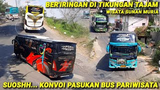 WHOOSH... CONVOY OF TOUR BUSES AT THE SHARP TURN OF SUNAN MURIA TOURIST SITE
