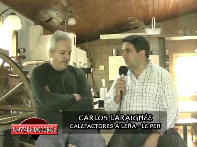 Hergom Arce R- Estufa de leña con horno acero – Chimeneas La Llar