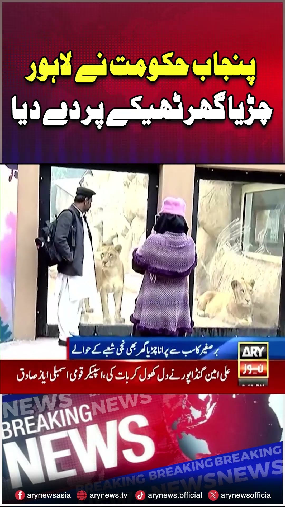 #lahore #zoo #lahorezoo #churiyaghar #punjabgovernment #punjab