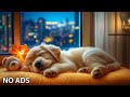 12 Hours Relaxing Dog Music🎵Best Video Anti-Anxiety When Dogs Stay Home Alone - Dog Channel🐶No Ads