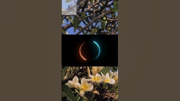 Top 5 Best Blog Niches in 2024 #blogs #niches #blogging