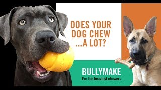 bullymake toys