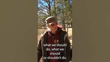 The Taoist True Human: What Are You Without The Social Mind? History Can Teach Us. #taoism #daoism