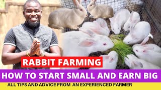 She Started With 2 Rabbits, Now she has 500 | Rabbit Farming