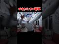 (8番のりば)ループする電車から脱出するホラーゲームが怖すぎる