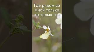 Только ты  #любовь #музыка #хит #любимпеть