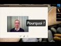 Le chat - The cat - Die Katze