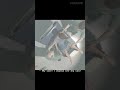 Beyond: Two Souls | Is Aiden Jodie's twin brother's soul?