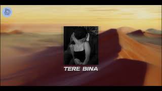 TERE BINA - Shreea Kaul | Slowed & Reverb | Viral Instagram Song