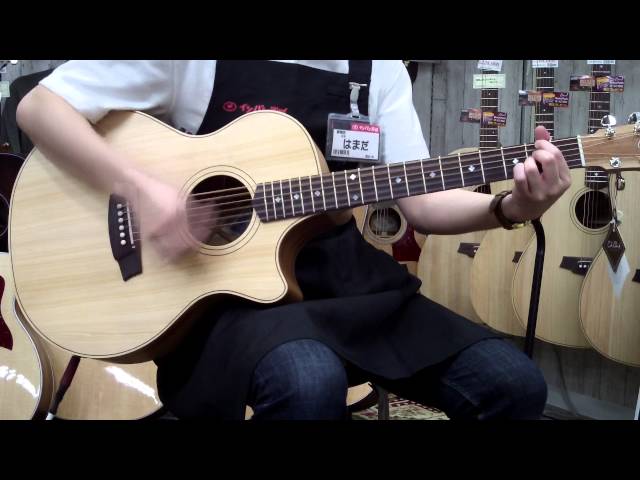Cole Clark / CCAN2EC-BB S/N:15114000 【チョイキズ特価】【イシバシ