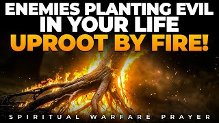 UPROOT Every Evil Seed And Witchcraft Root In Your Life | Warfare Prayers Against Curses