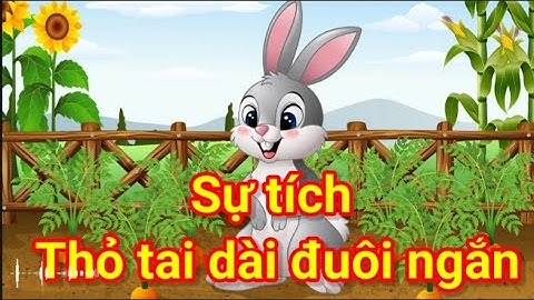 Sự tích tại sao tai thỏ dài và đuôi ngắn- Truyện kể trước giờ đi ngủ