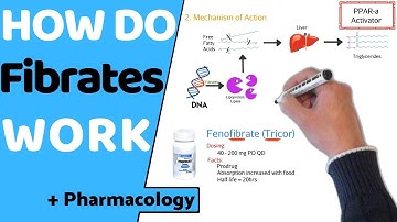 How do Fibrates Work? (  Pharmacology)