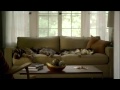 If Your Dog Can Dream It Swimmer Purina Pro Plan TV Commercial Song By Mozart If Your Dog Can Dream It Swimmer Purina Pro Plan TV Commercial Song By Mozart