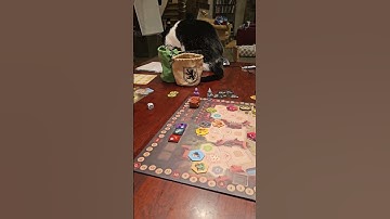 Castles of Burgundy update.... #boardgames