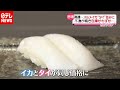 “イカ”が値段高騰…寿司ネタで“タイ”並みに、なぜ？（2020年12月10日放送「news every.」より）