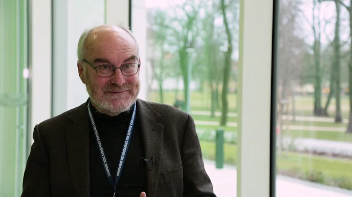 Discussion on the Cynefin framework | Dave Snowden...