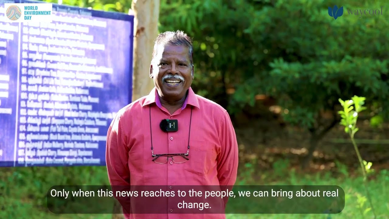 WayCool - Miyawaki forest