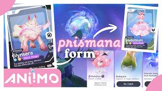 How To Catch ANY Prismana Aniimo Like A Pro (full guide)
