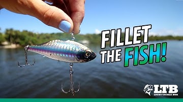 Fillet the Fish | Lucky Tackle Box Tips