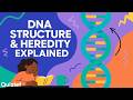 DNA Structure &amp; Heredity Explained | Double Helix, Experiments &amp; Genetic Code