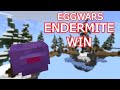 Using Endermites To Win Cubecraft Eggwars - Minecraft!