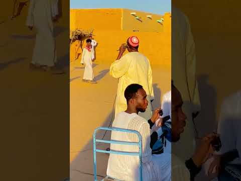 البشيره دلوكه يالساني جلد صوت