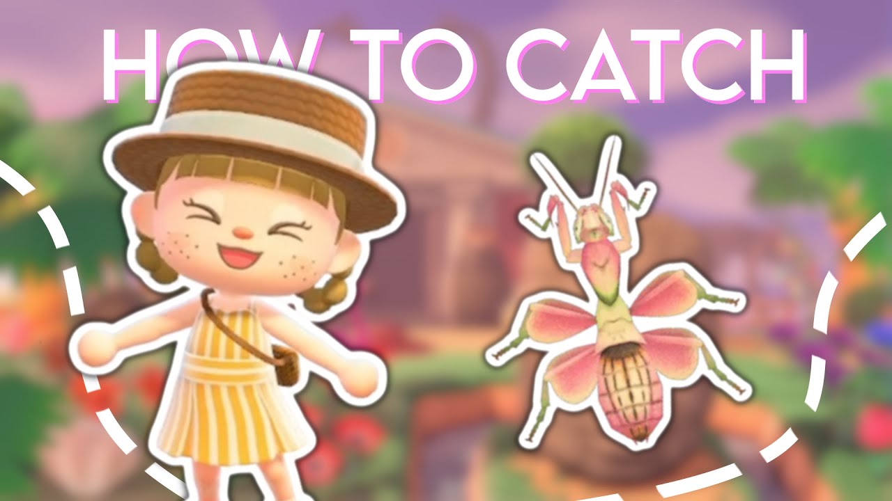 How to catch Orchid Mantis on Animal Crossing New Horizons 🦋