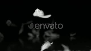 Lot Of White Feathers Floating In The Breeze On Black Background | Stock Footage - Envato elements screenshot 4