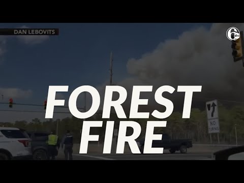 NJ forest fire