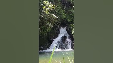 Chiêm Ngưỡng Vẻ Đẹp Huyền Ảo Của Thác Nước Giữa Rừng Nguyên Sinh