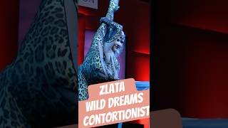 भतलचक गलचक