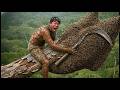 Giant Wild Honey Hunting : Ancient Skill on Rotten Branches