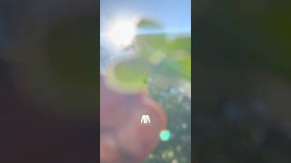 What Are The Chances 