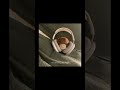 اغنية   مترجمه بدون موسيقى  بدون موسيقى  اكسبلور ترجمة أغاني  