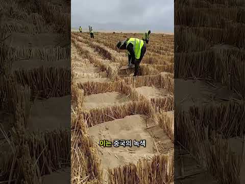 중국은 사막에 그물을 펼쳤습니다. 왜 그런지 아시나요?