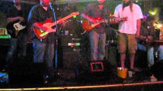 The Damn Quails "Through The Fire"