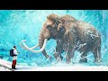 How Scientists Are Bringing Back The Woolly Mammoth