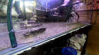 setup aquarium black pearl ship pirates of the caribbean time-lapse