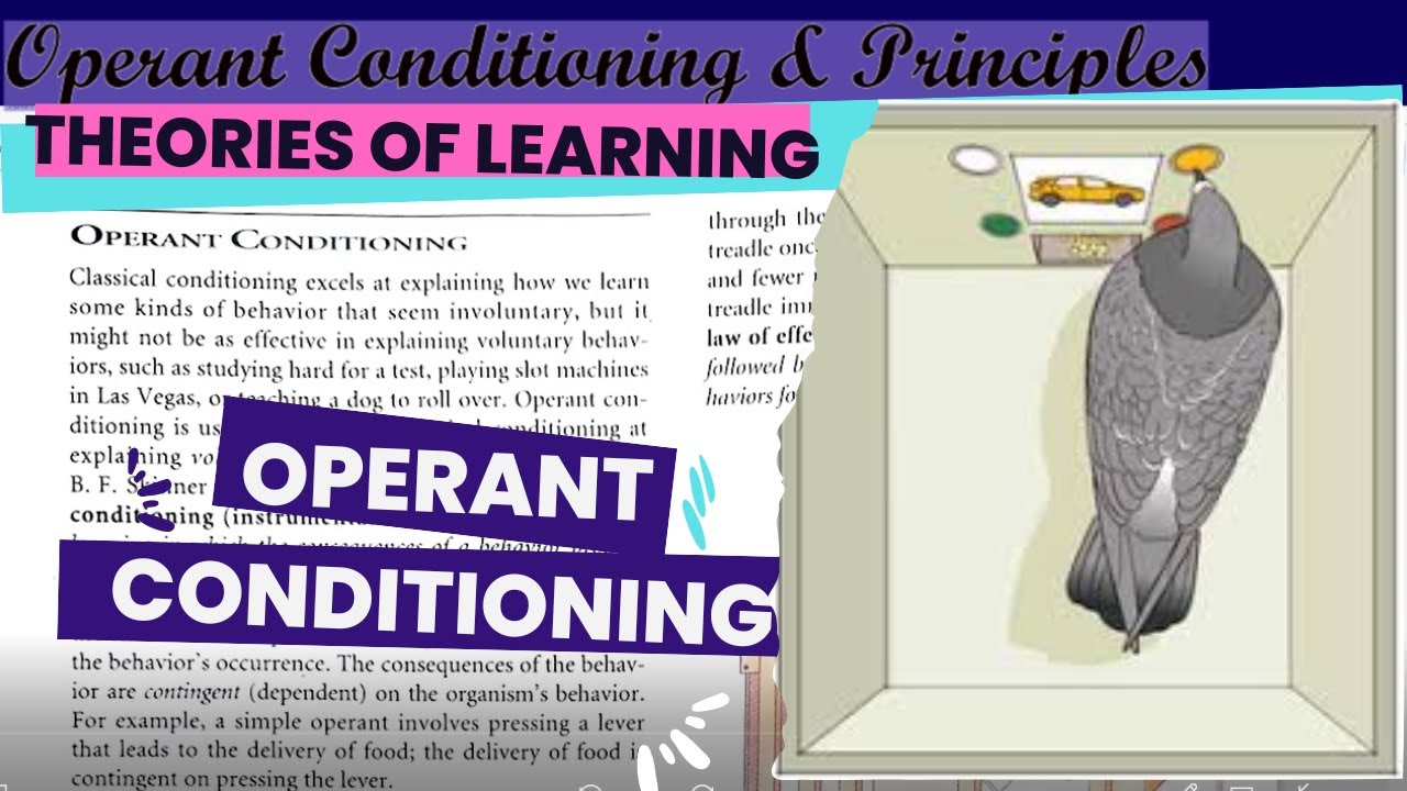 principles-of-operant-conditioning-in-detail-urdu-hindi