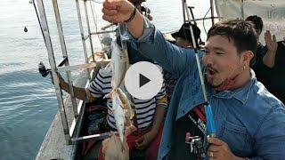 Phuket Fishing Boat ตกปลาทะเลภูเก็ต เกาะเฮ เกาะไม้ท่อน เกาะราชา เรือตกปลาราคาถูก บริการเป็นกันเอง