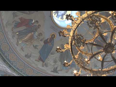 Посещение Щелково митрополитом Ювеналием