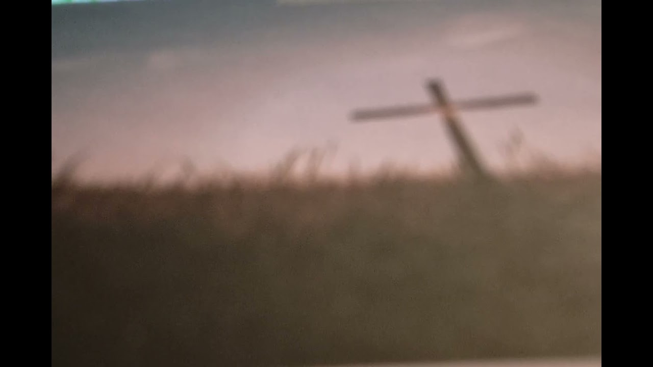 Psalm 12 new international version 