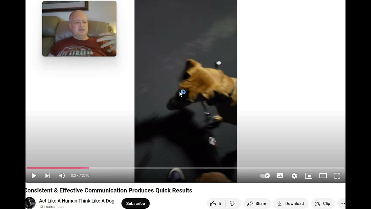 The Anti Dog Trainer - The Gentle Leader - Control vs Change